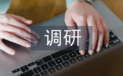 人大调研汇报材料