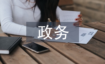 政务服务工作总结