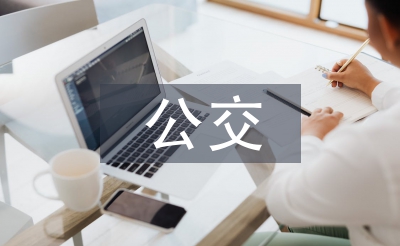 公交调查报告