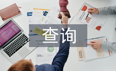 查询申请书