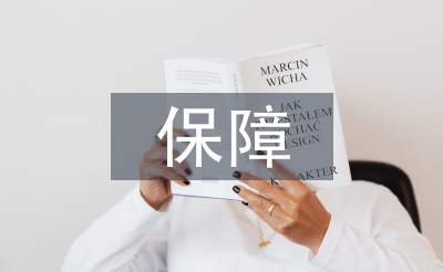 保障工作总结