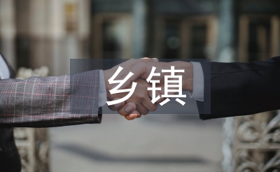 乡镇公共行政论文