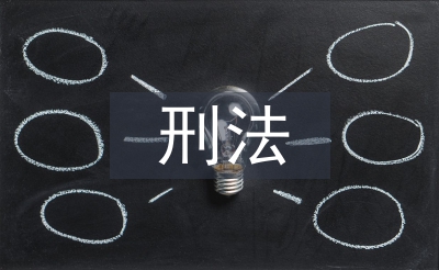 刑法案例分析报告