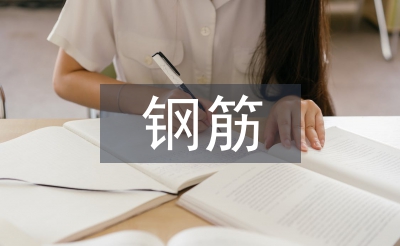 钢筋实训报告