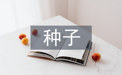 种子市场论文