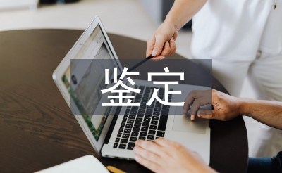 学年鉴定总结