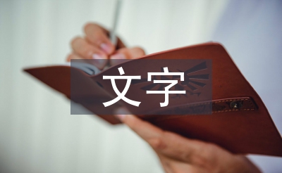 文字市场调查报告