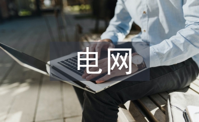 电网信息论文