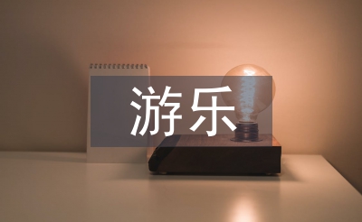 游乐实训总结