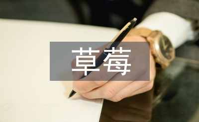 草莓育苗技术