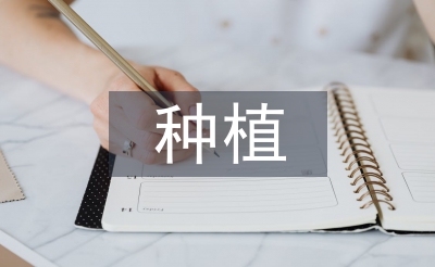 幼儿园种植活动总结