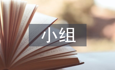 小组组长年中总结