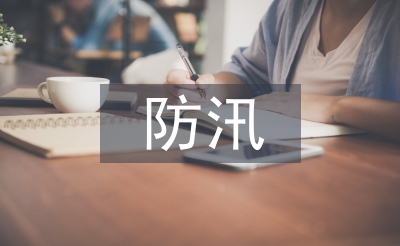防汛安全总结