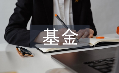 基金的投资策略