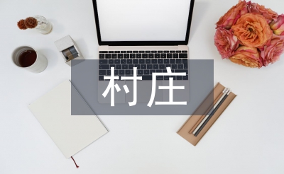 村庄清洁行动自查报告
