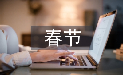 春节消费论文
