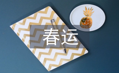 运输公司春运工作总结