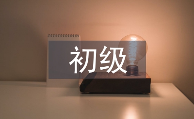 初级审计和中级审计