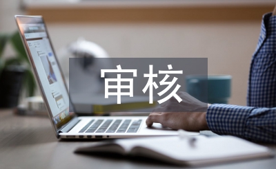 审核岗位实习个人总结