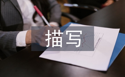 描写教育学论文