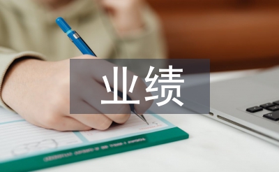 年度业绩总结