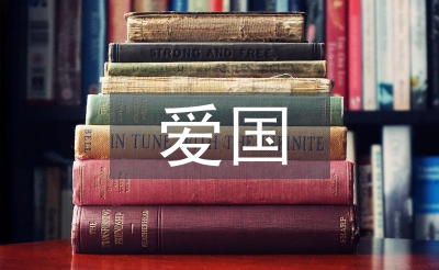 爱国活动总结