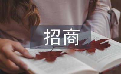 建材市场招商工作总结