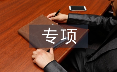 专项督查汇报材料