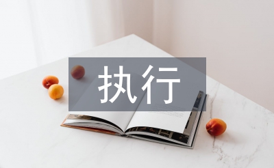 执行局工作总结