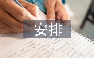 重点工作安排