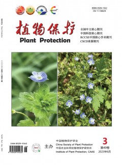 植物?；ぴ又? />
		</div>
		<div   id=