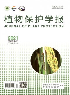 植物?；ぱПㄔ又? />
		</div>
		<div   id=