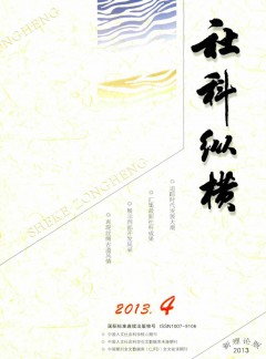 社科纵横·新理论版