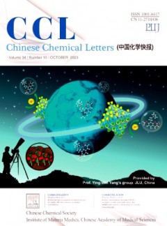 Chinese Chemical Letters杂志