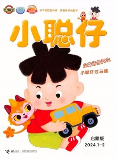 小聪仔婴儿版杂志