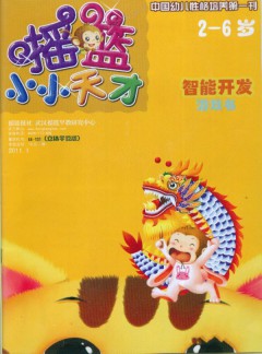 摇篮小小天才