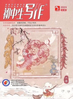 初中生写作杂志