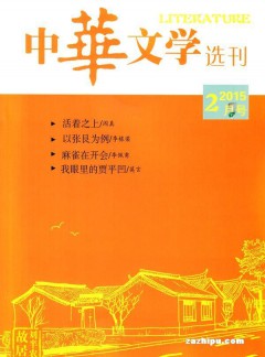 中华文学选刊