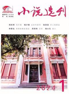 小说选刊杂志
