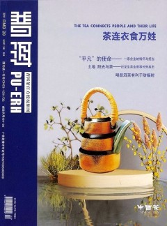 普洱杂志