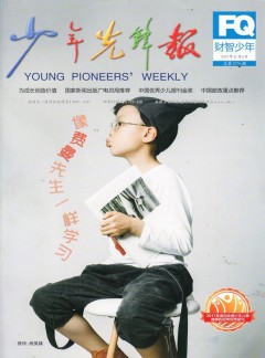 财智少年