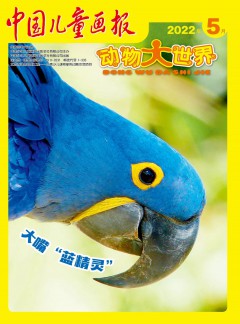中国儿童画报杂志