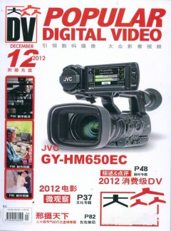 大众DV