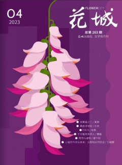 花城杂志