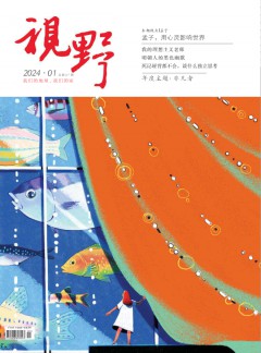 视野杂志