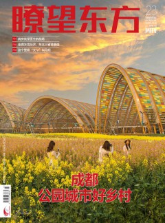 瞭望东方周刊杂志