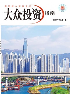 大众投资指南