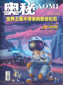 奥秘杂志