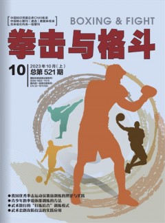 拳击与格斗