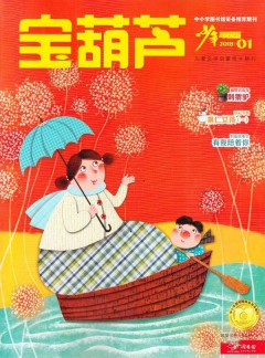 宝葫芦杂志